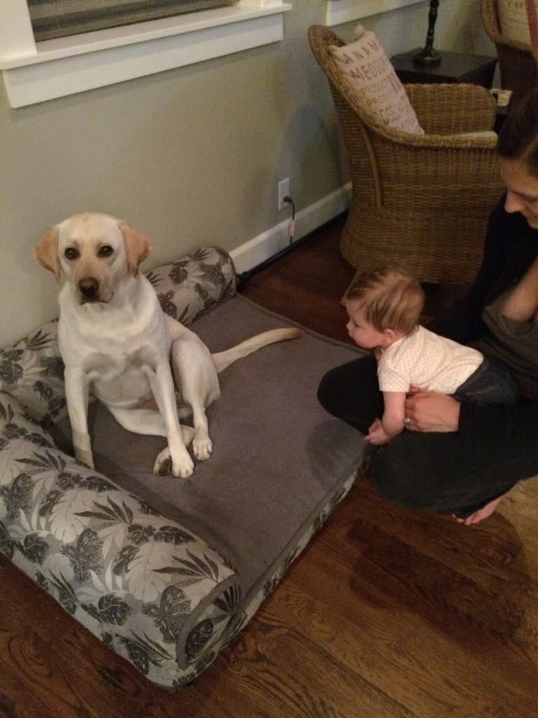 IMG_0958.2014-10-05_133402