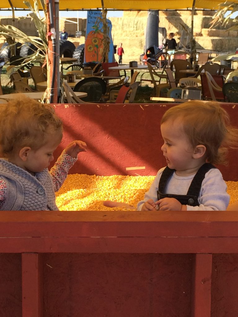 2015-10-03_163711697_034B0_iOS