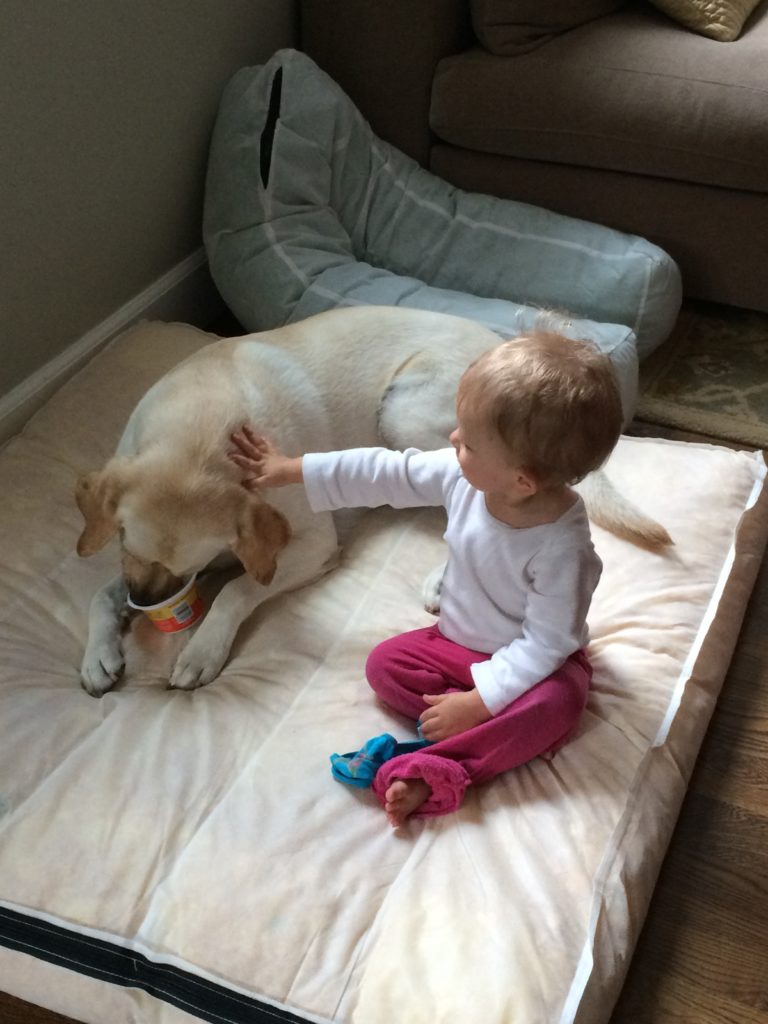 IMG_0778.2015-05-23_133709