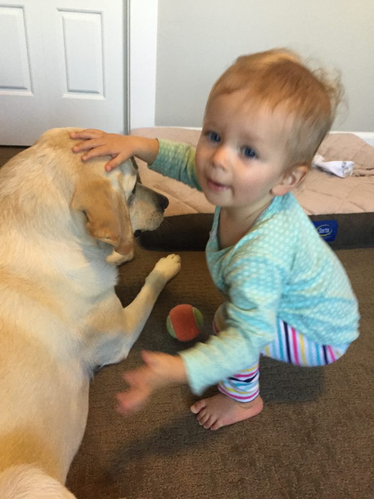 IMG_0814.2015-05-27_141756