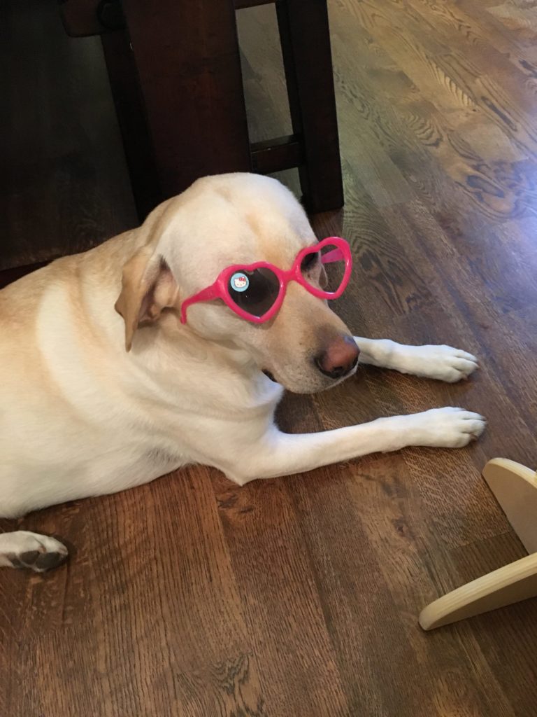 2016-03-14_010148061_7096d_ios