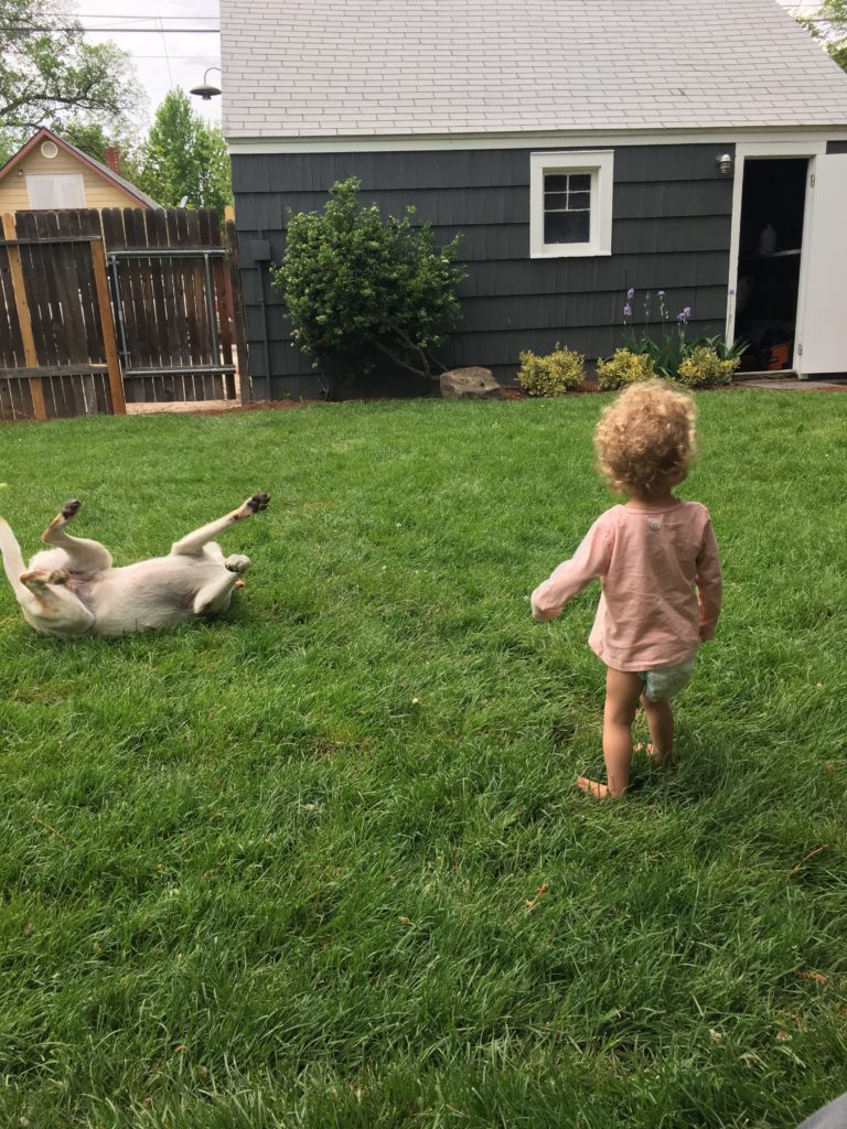 2016-05-05_004923662_78aea_ios