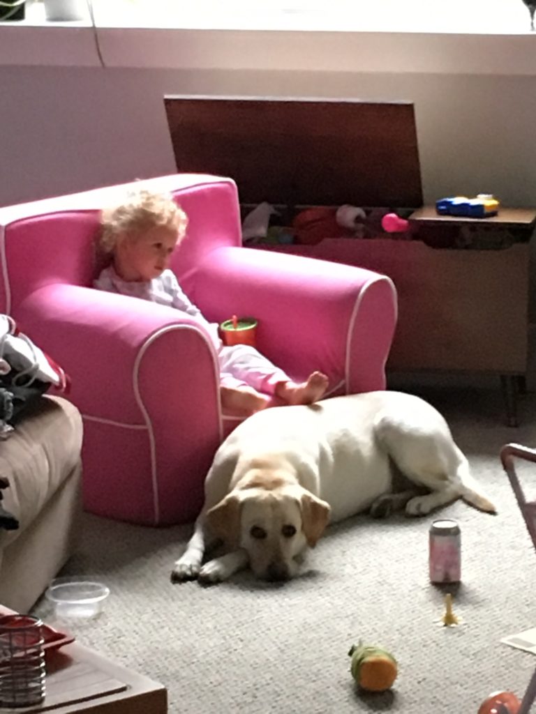 2016-05-20_142414237_ec419_ios