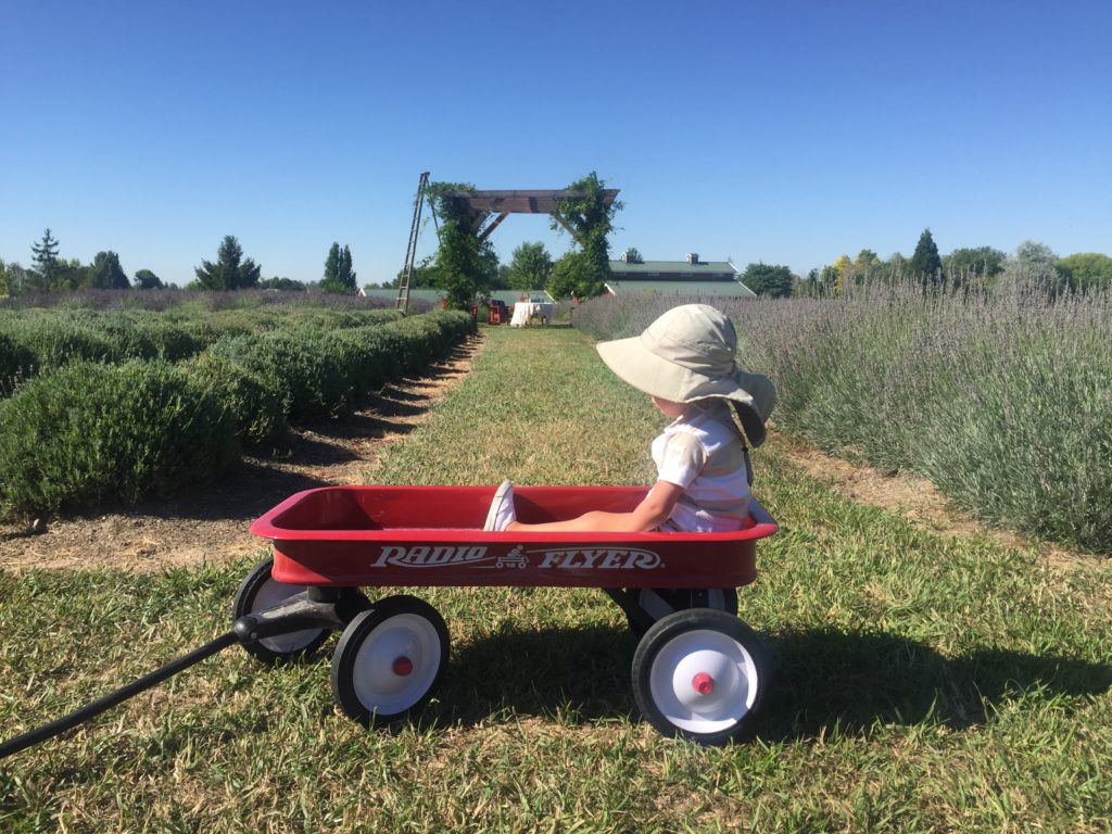 2016-07-20_161343621_28ffc_ios