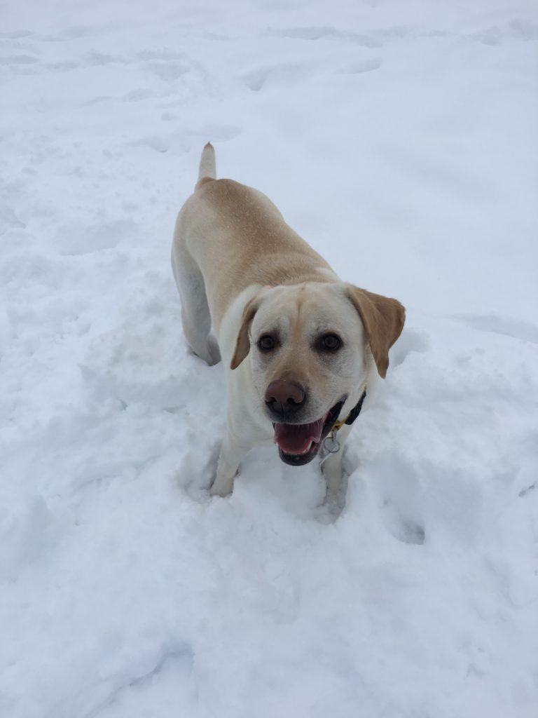 2016-12-24_10-35-24_546