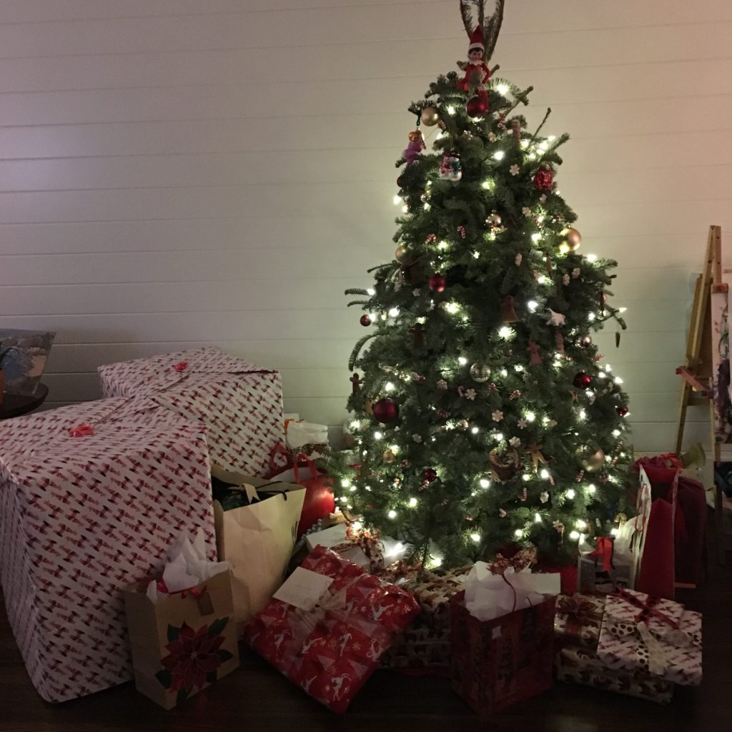 2016-12-25_06-21-24_395